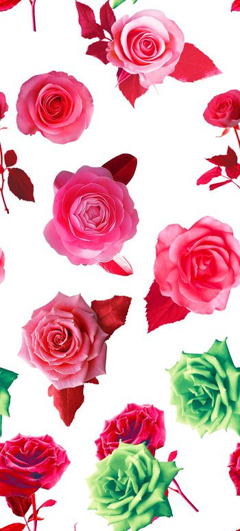 491871-流行时尚鲜花玫瑰花卉印花-彩色系列