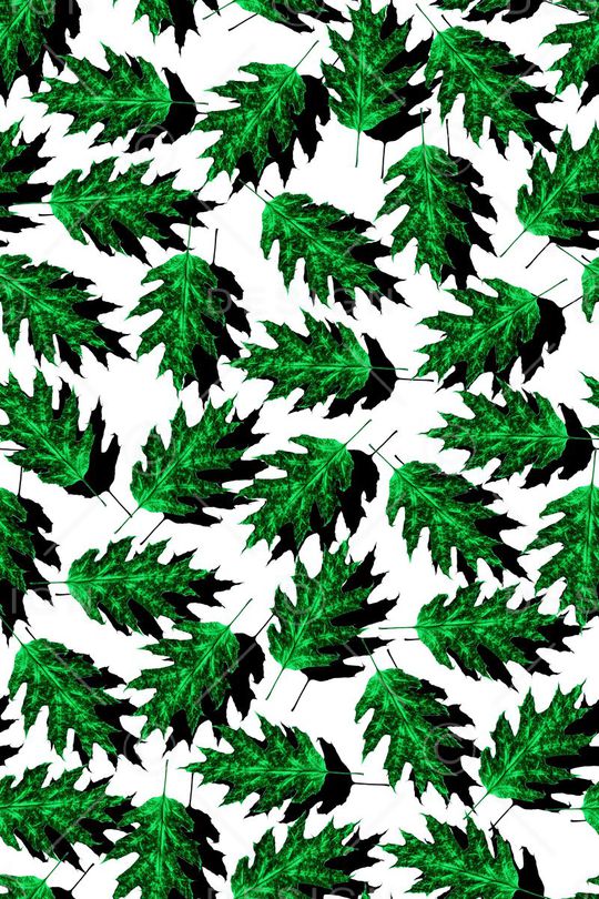 冲锋衣印花华亿平台图片