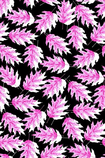 491987-田园风针叶植物秋冬男装冲锋衣羽绒服