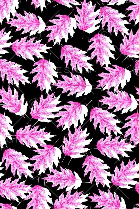 冲锋衣印花华亿平台图片