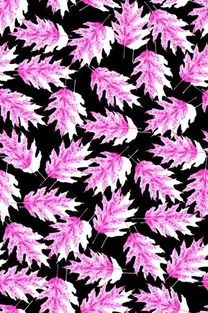 冲锋衣印花华亿平台图片