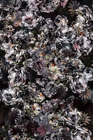 窗帘布印花华亿平台图片