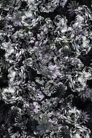 花卉秋冬款女装印花华亿平台图片