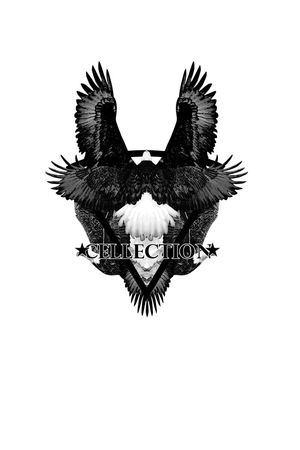 T恤印花华亿平台图片