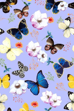 蝴蝶印花华亿平台图片