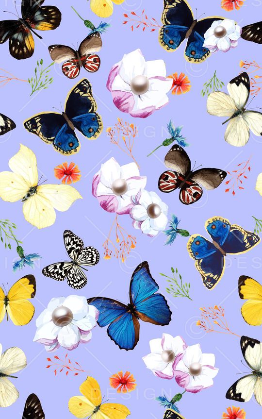 蝴蝶印花华亿平台图片