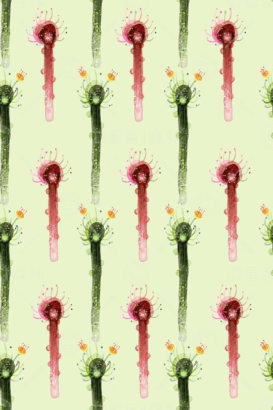 仙人掌印花华亿平台图片