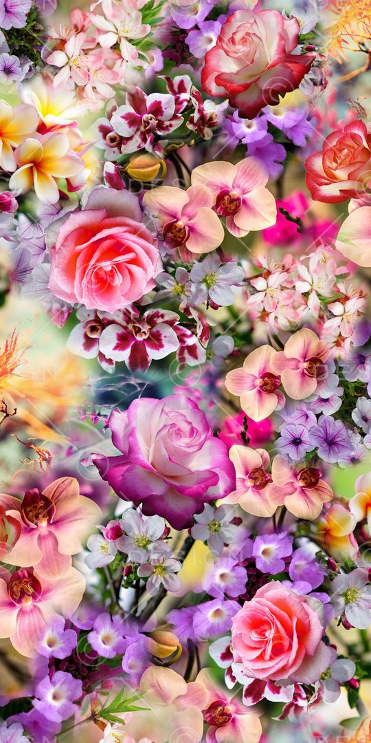 满版百花印花华亿平台图片