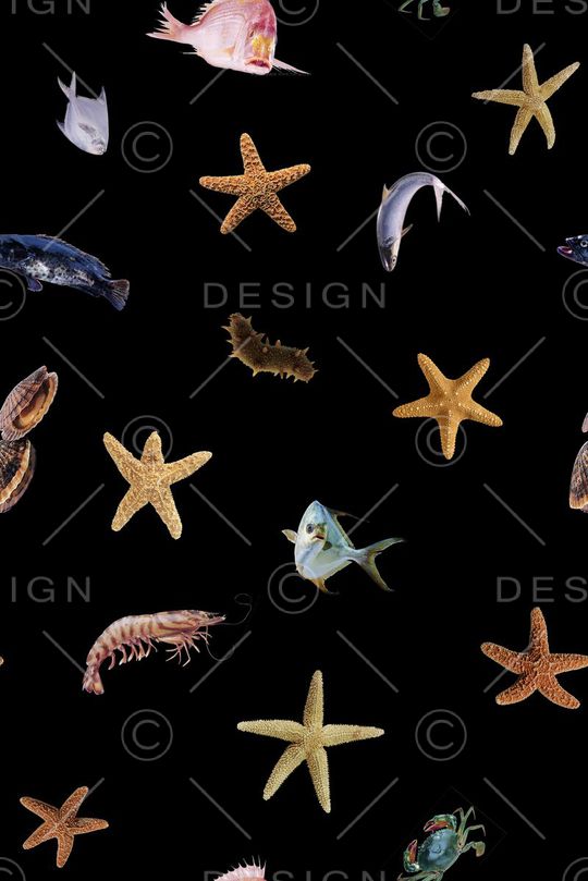 动物印花华亿平台图片