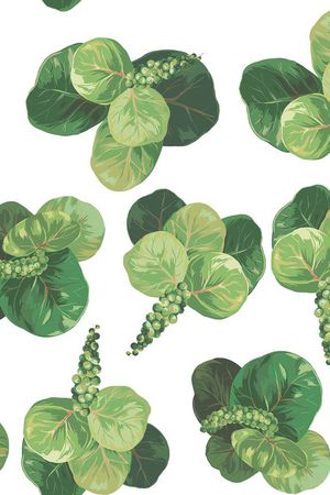 大叶果实印花华亿平台图片