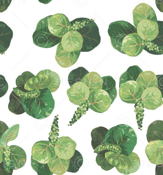 大叶果实印花华亿平台图片