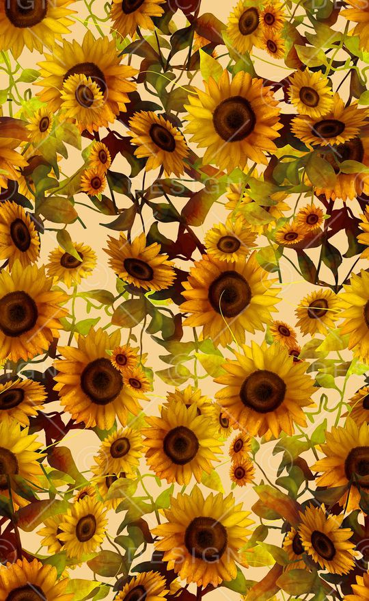 窗帘布印花华亿平台图片