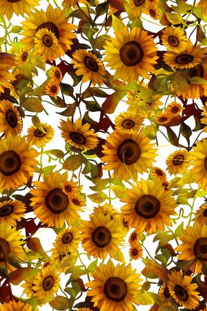 数码印花印花华亿平台图片