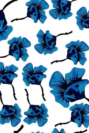 大气印花华亿平台图片