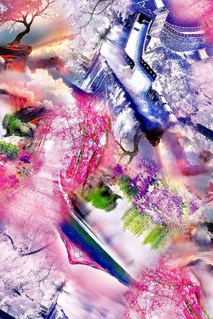 流行时尚印花华亿平台图片