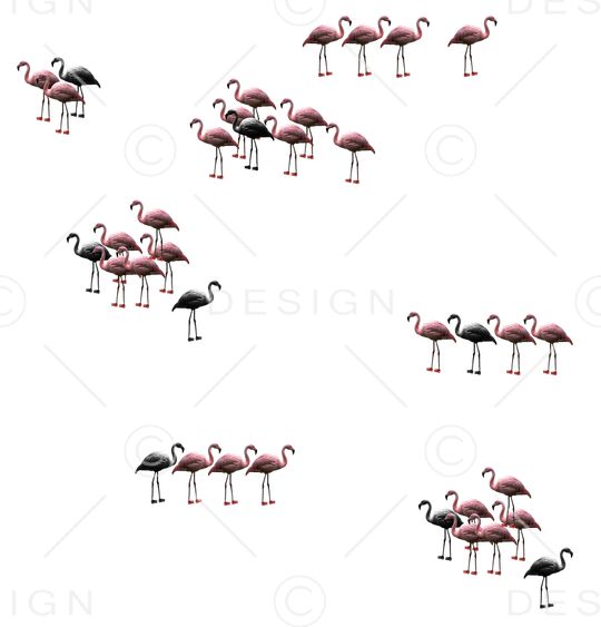 动物火烈鸟印花华亿平台图片