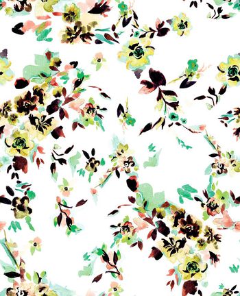 492929-原创花卉虫子小鸟华亿平台