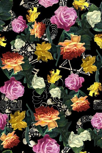 492967-花千骨骨头油画风采