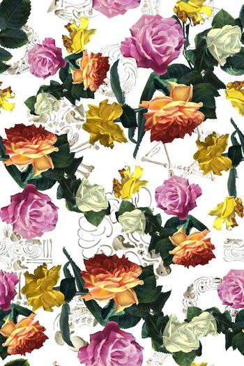 492968-花千骨骨头油画风采