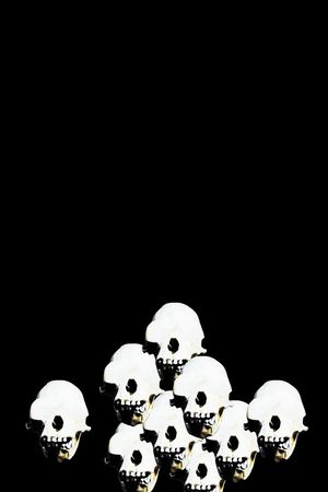 朋克印花华亿平台图片