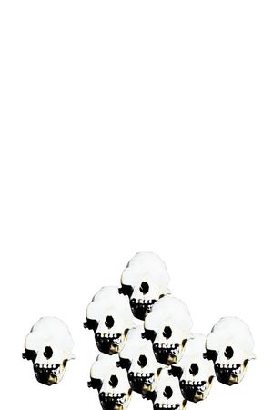 朋克印花华亿平台图片