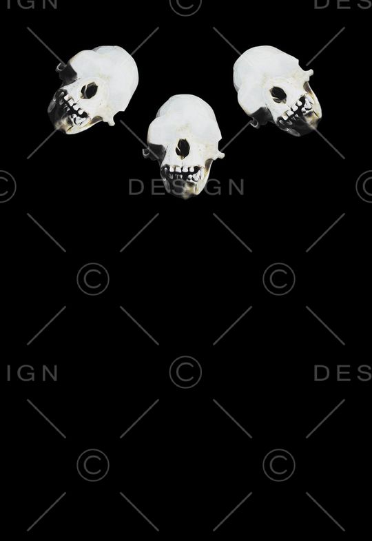 Givenchy印花华亿平台图片