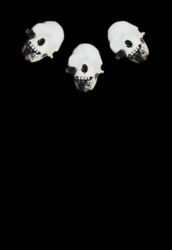 Givenchy印花华亿平台图片