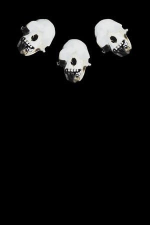 Givenchy印花华亿平台图片