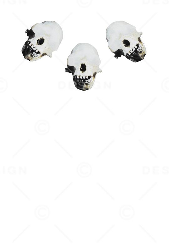 朋克印花华亿平台图片