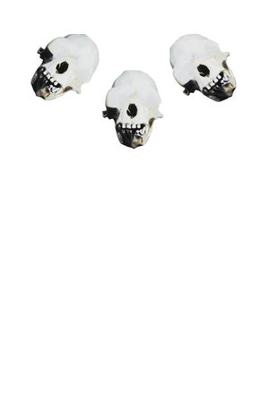 朋克印花华亿平台图片