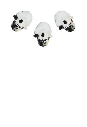 493016-纪梵希Givenchy骷髅定位印花