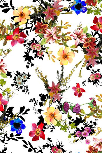 493018-枝条清新花卉