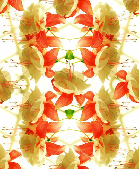 创意印花华亿平台图片