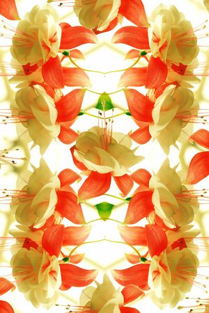 创意印花华亿平台图片