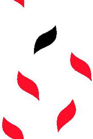 男装华亿平台印花华亿平台图片