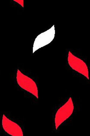 男装华亿平台印花华亿平台图片