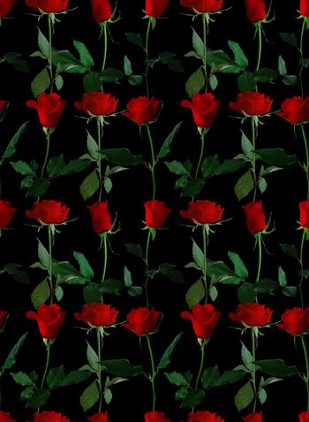 493108-火红玫瑰－女装华亿平台