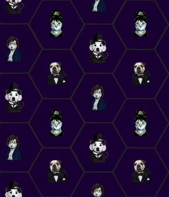 493132-动物先生六边形