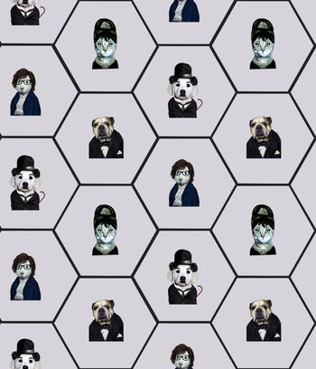 493133-动物先生六边形