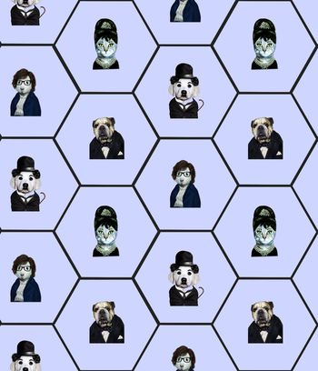 493134-动物先生六边形