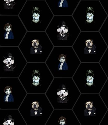 493135-动物先生六边形