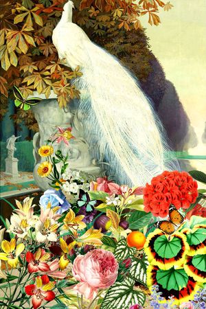 欧式印花华亿平台图片