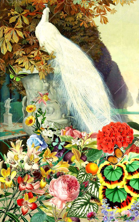 欧式印花华亿平台图片