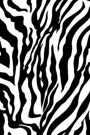 斑马纹印花华亿平台图片