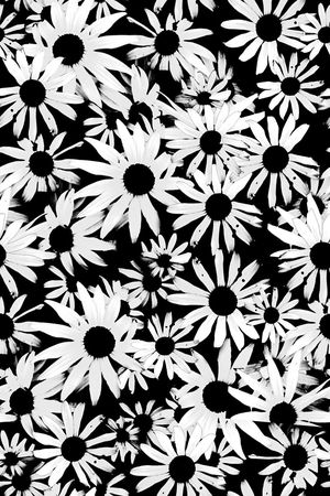 潮流时尚印花华亿平台图片