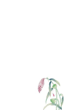 数码定位印花华亿平台图片