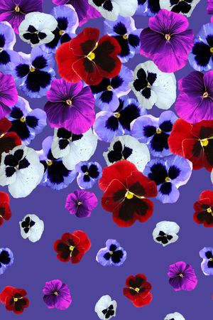 数码定位印花华亿平台图片