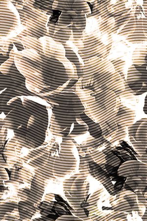 花朵印花华亿平台图片