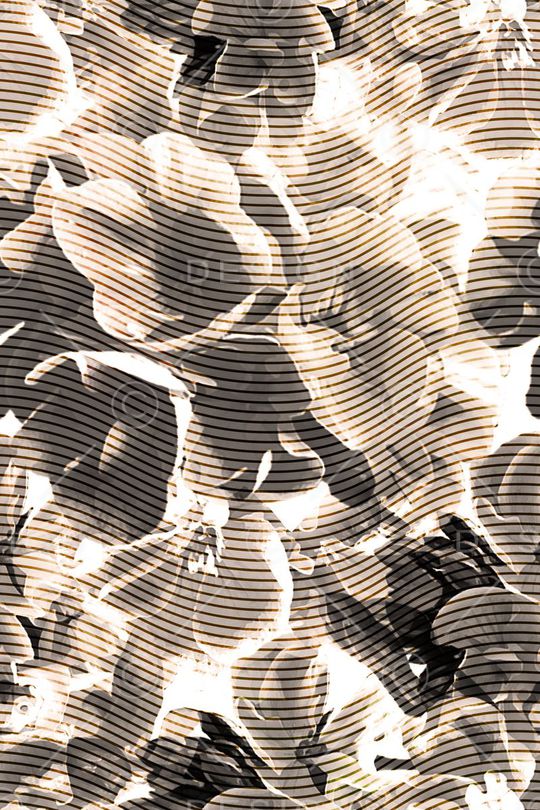 花朵印花华亿平台图片