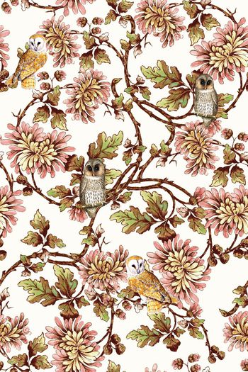 493915-时尚手绘花卉猫头鹰